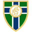 San Fernando escudo